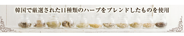 YOSAコース説明